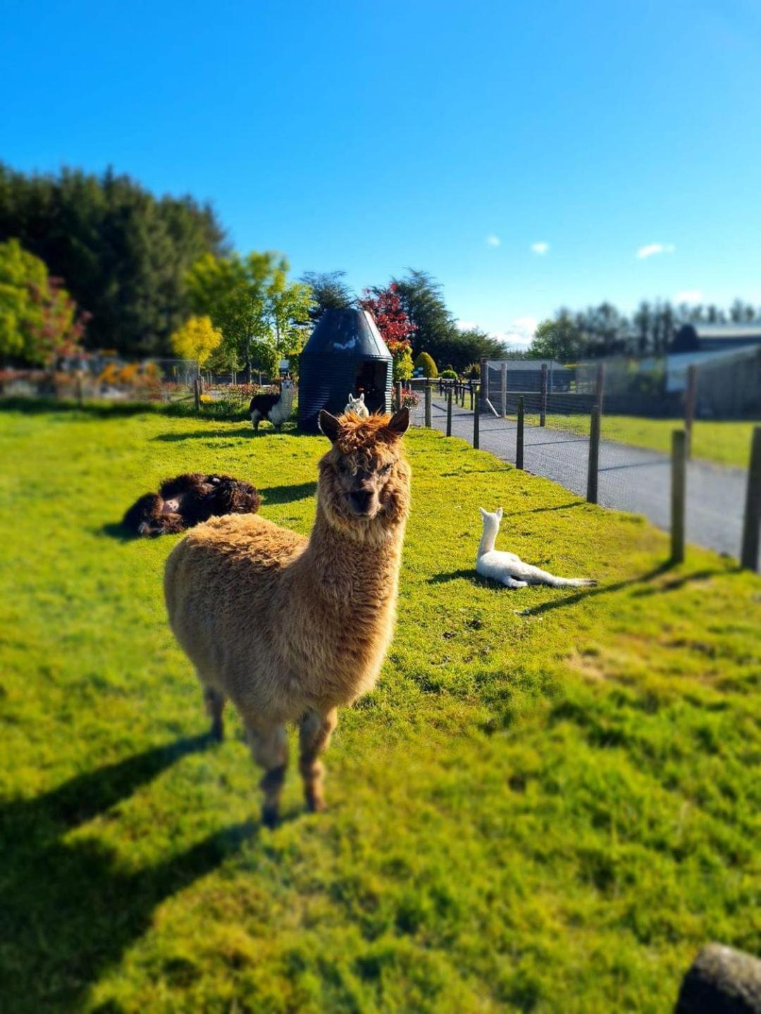 Leahys Pod Park * Cork